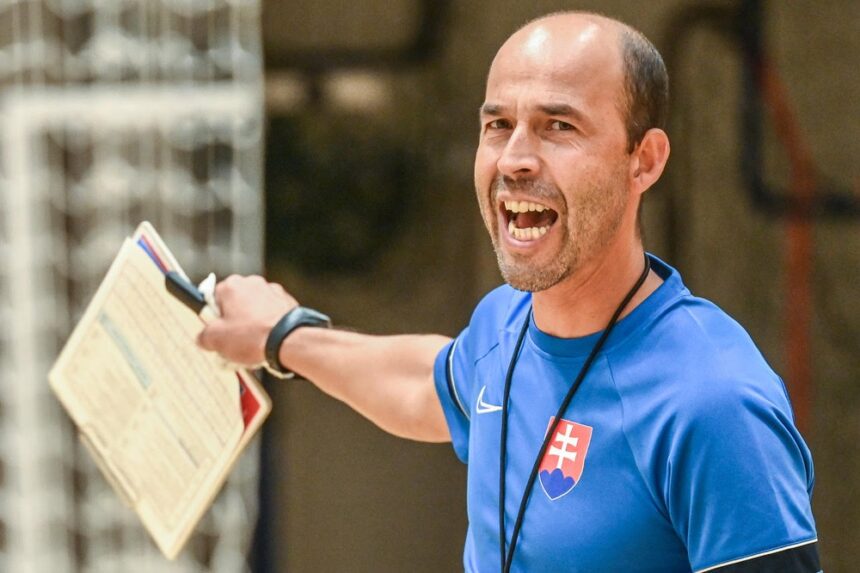 Reprezentáciu čaká najdôležitejší blok elitného kola kvalifikácie o MS - dvojzápas proti Nemecku